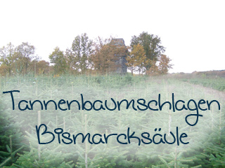 Tannenbaumverkauf Bismarcksule