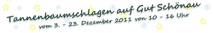 Tannenbaumschlagen auf Gut Sch�nau