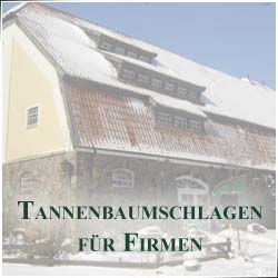 Weihnachtsfeier mit Tannenbaumschlagen