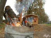 Firmenevent Tannenbaumschlagen 03