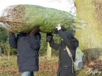 Firmenevent Tannenbaumschlagen 14